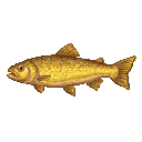 Pixel art of a Golden Trout