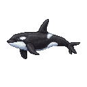 Pixel art of a Orca
